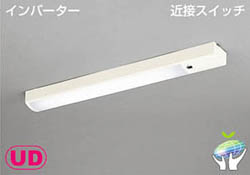 kinsetsu.jpg